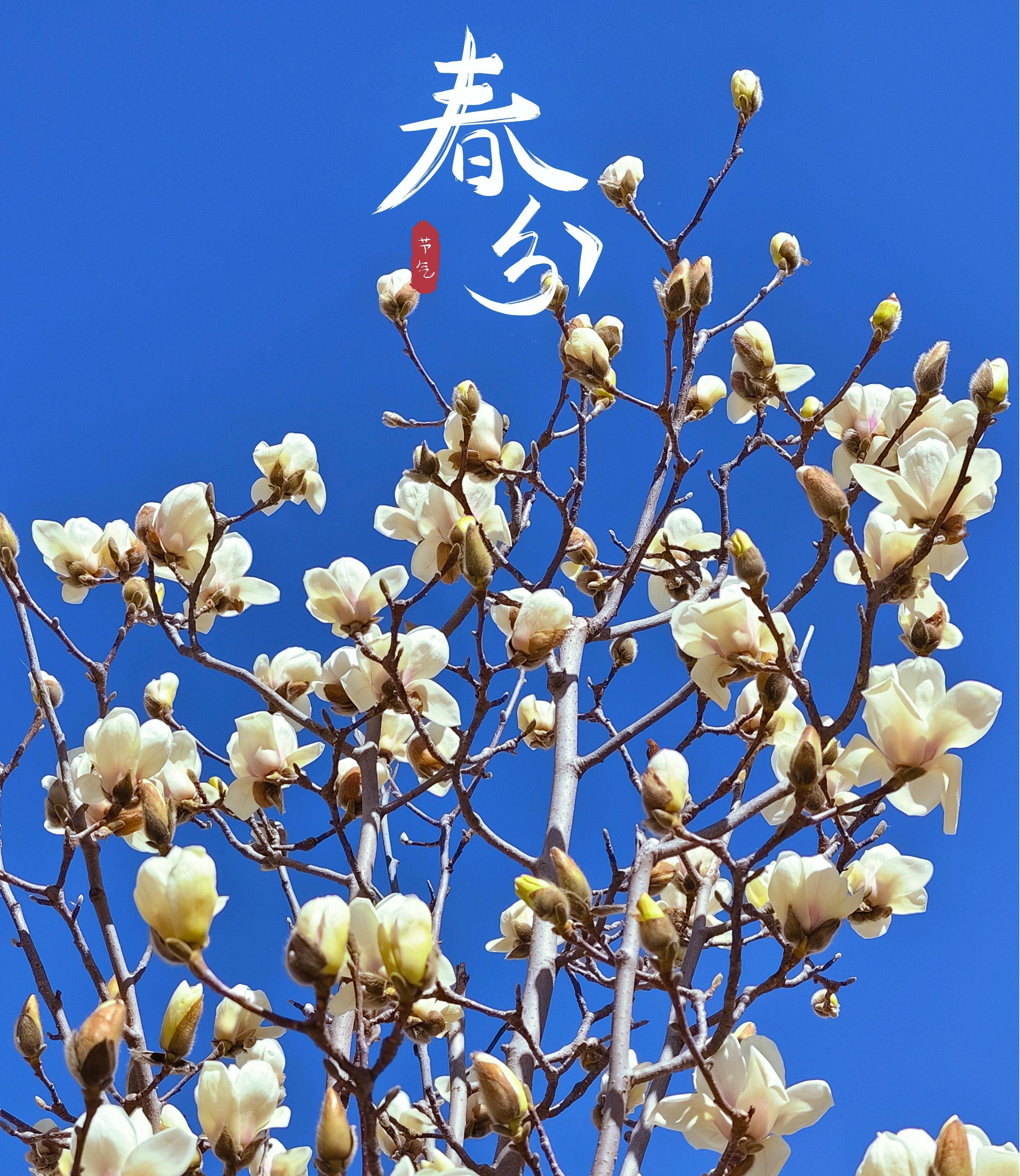 春分正當時 | 在信義惠達廠區的小景致里，遇見蓬勃的春信