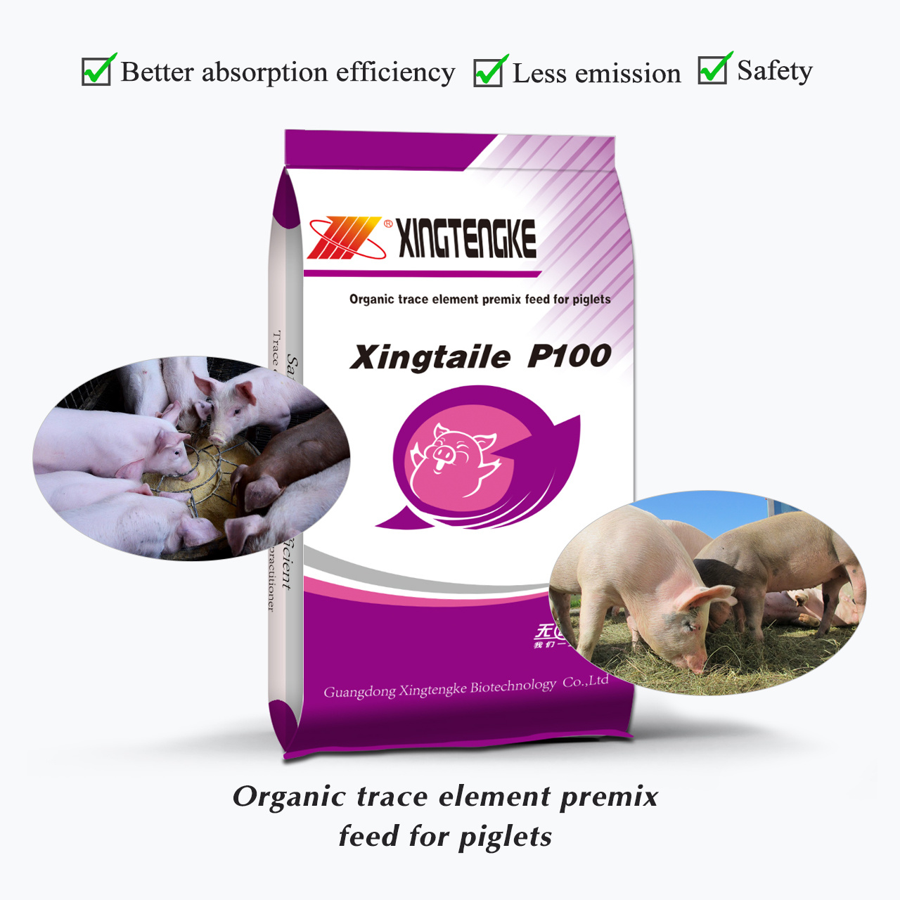 Xingtaile P100
