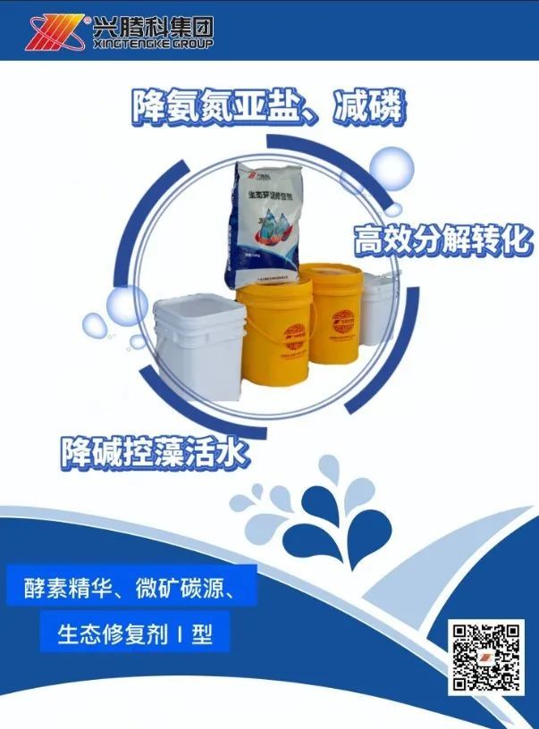 Water ecological environment repair agent | good water to raise good fish
