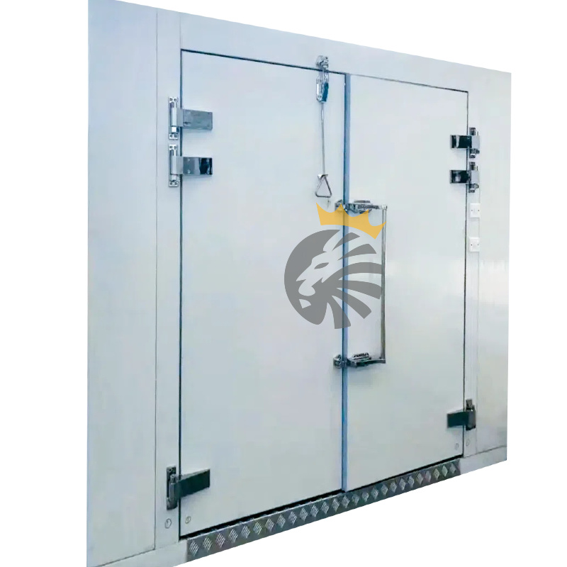 Fully embedded cold storage door