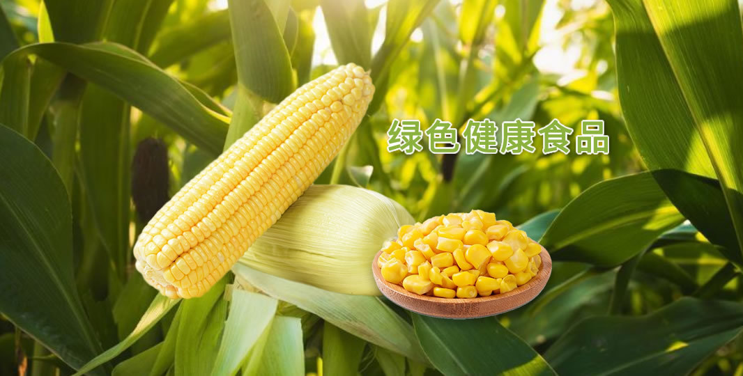 嘉田食品