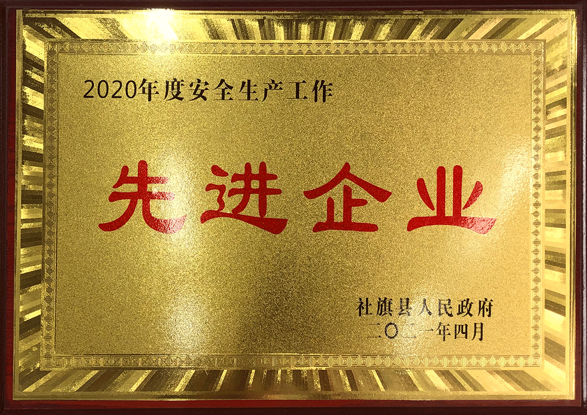 2020年先進企業(yè)