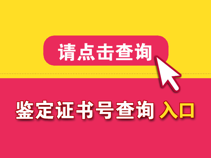 证书号查询