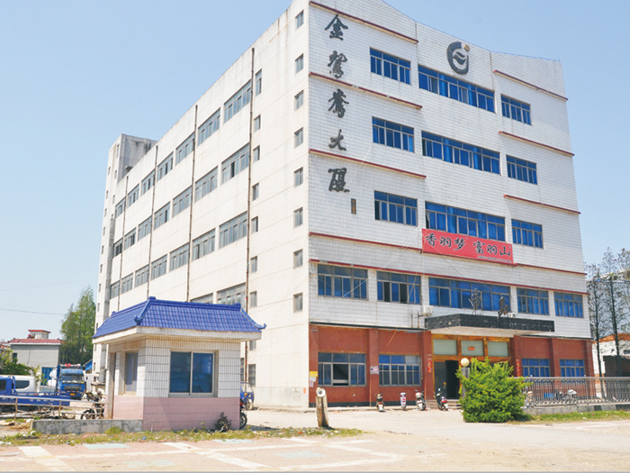 公司股权价值评估
