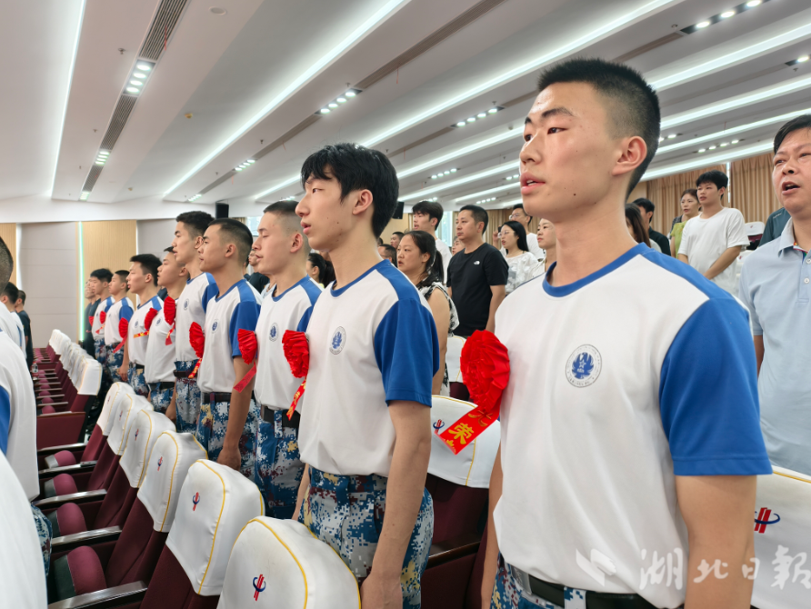 무료 스포츠 분석 사이트
