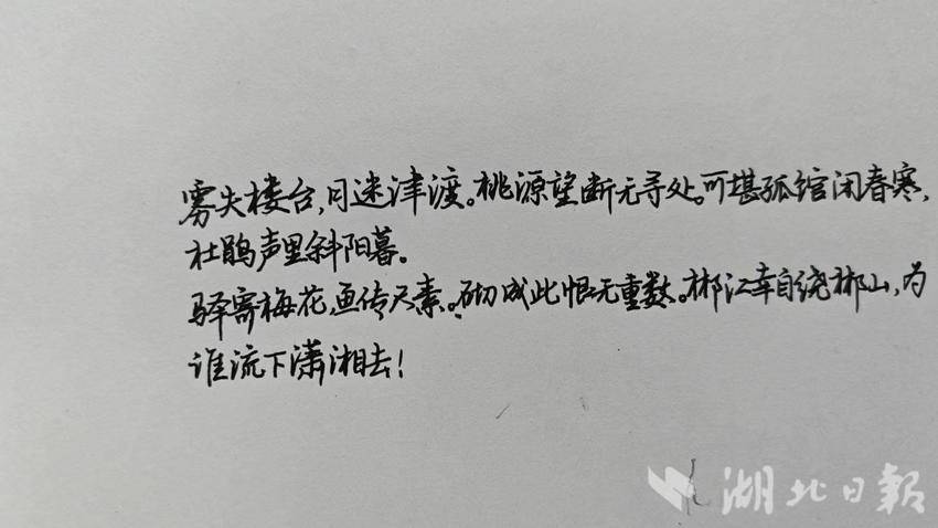 에볼루션 카지노