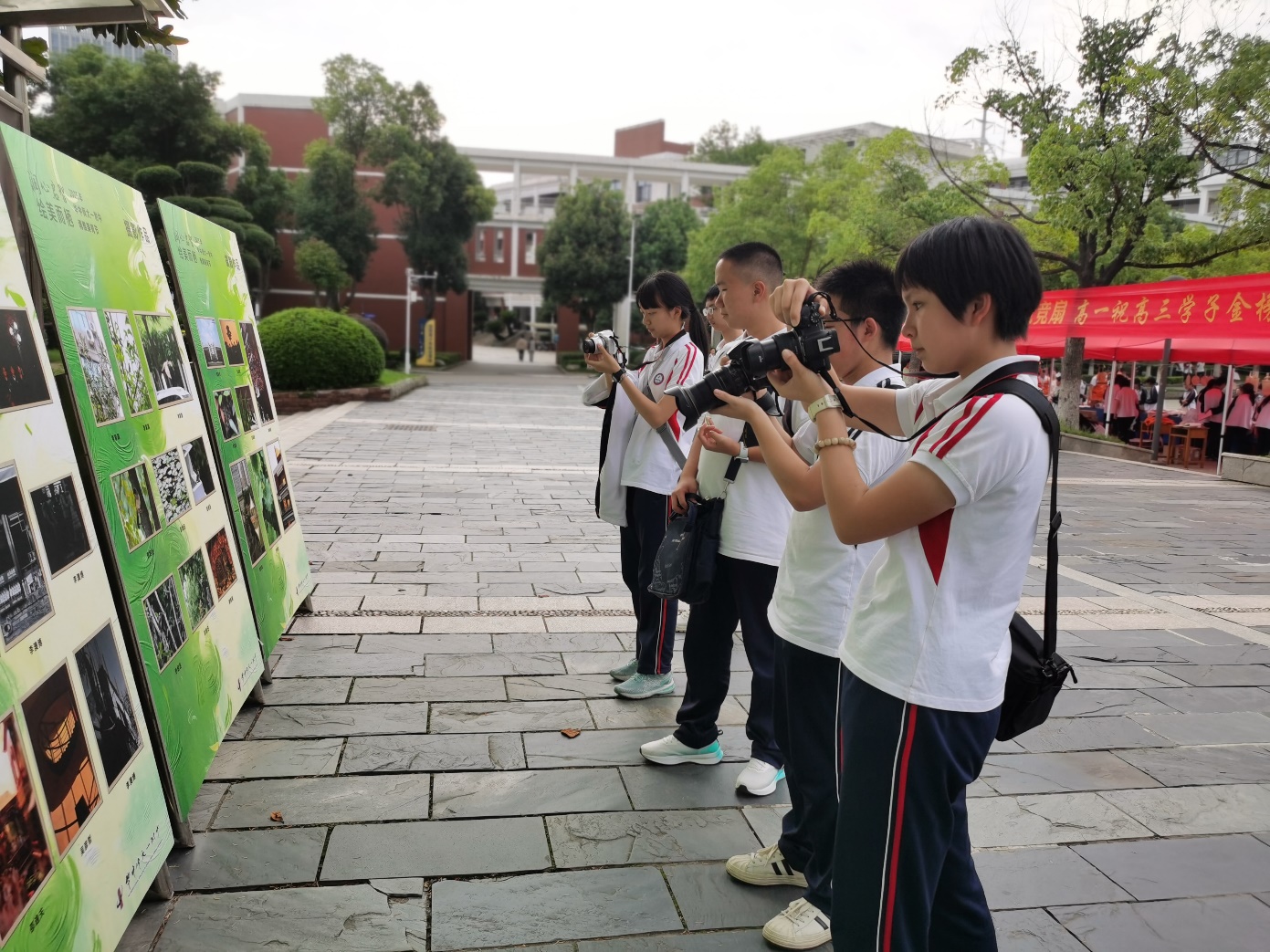 에볼루션 카지노