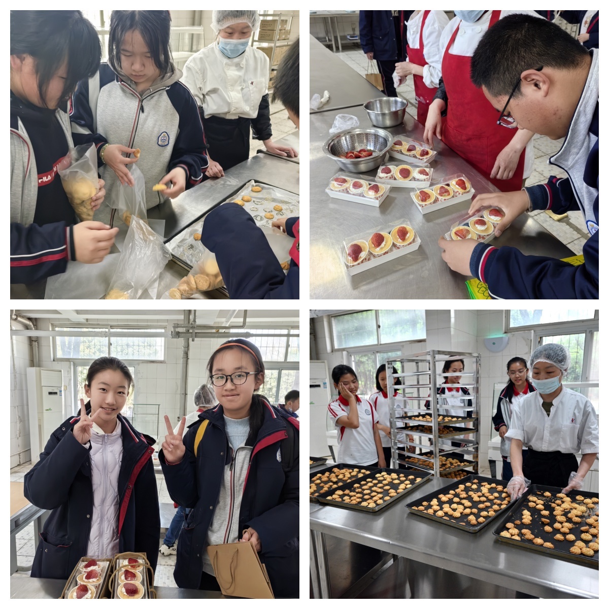 온라인 카지노 사이트