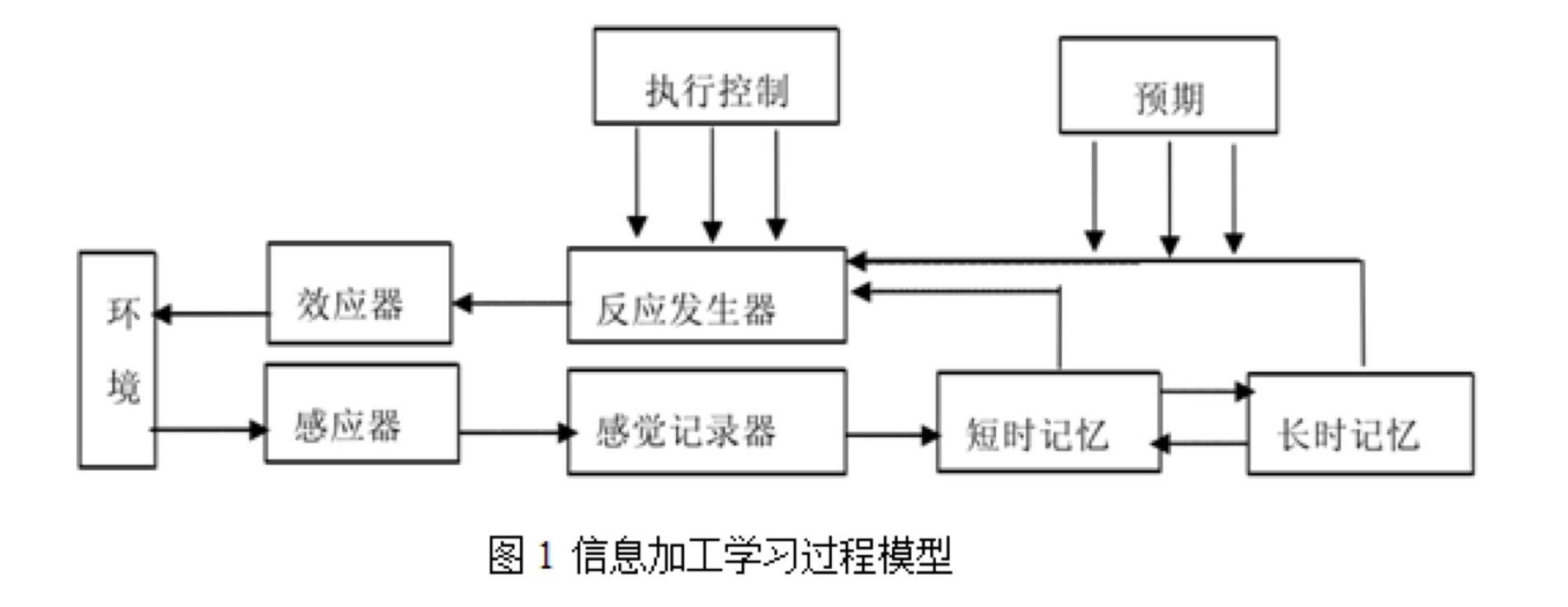 엠 카지노