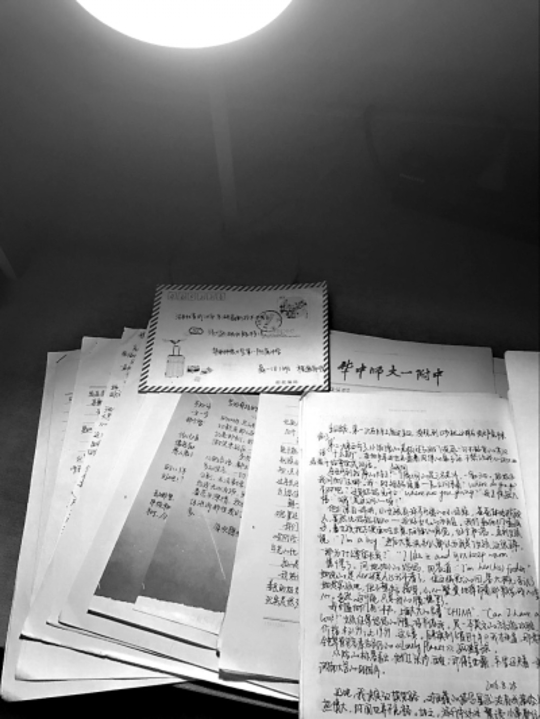 에볼루션 카지노