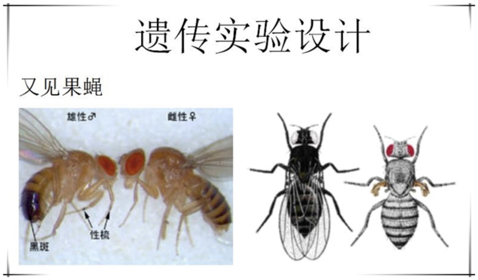 제왕 카지노