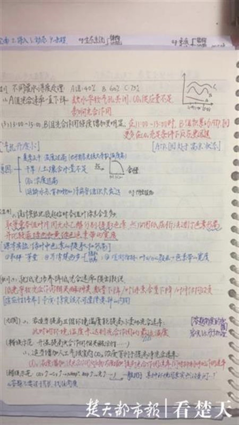 토토 스포츠