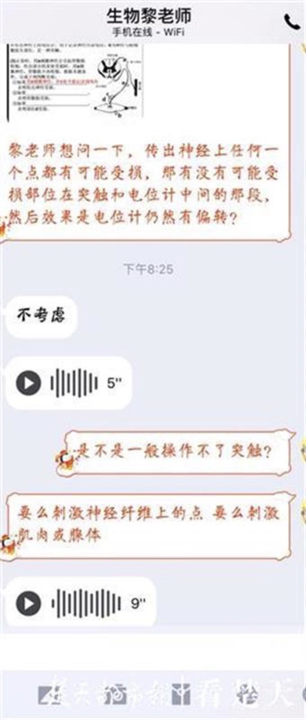 토토 스포츠