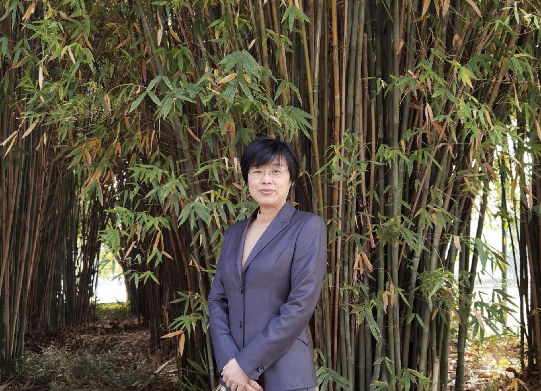 스포츠 토토 분석