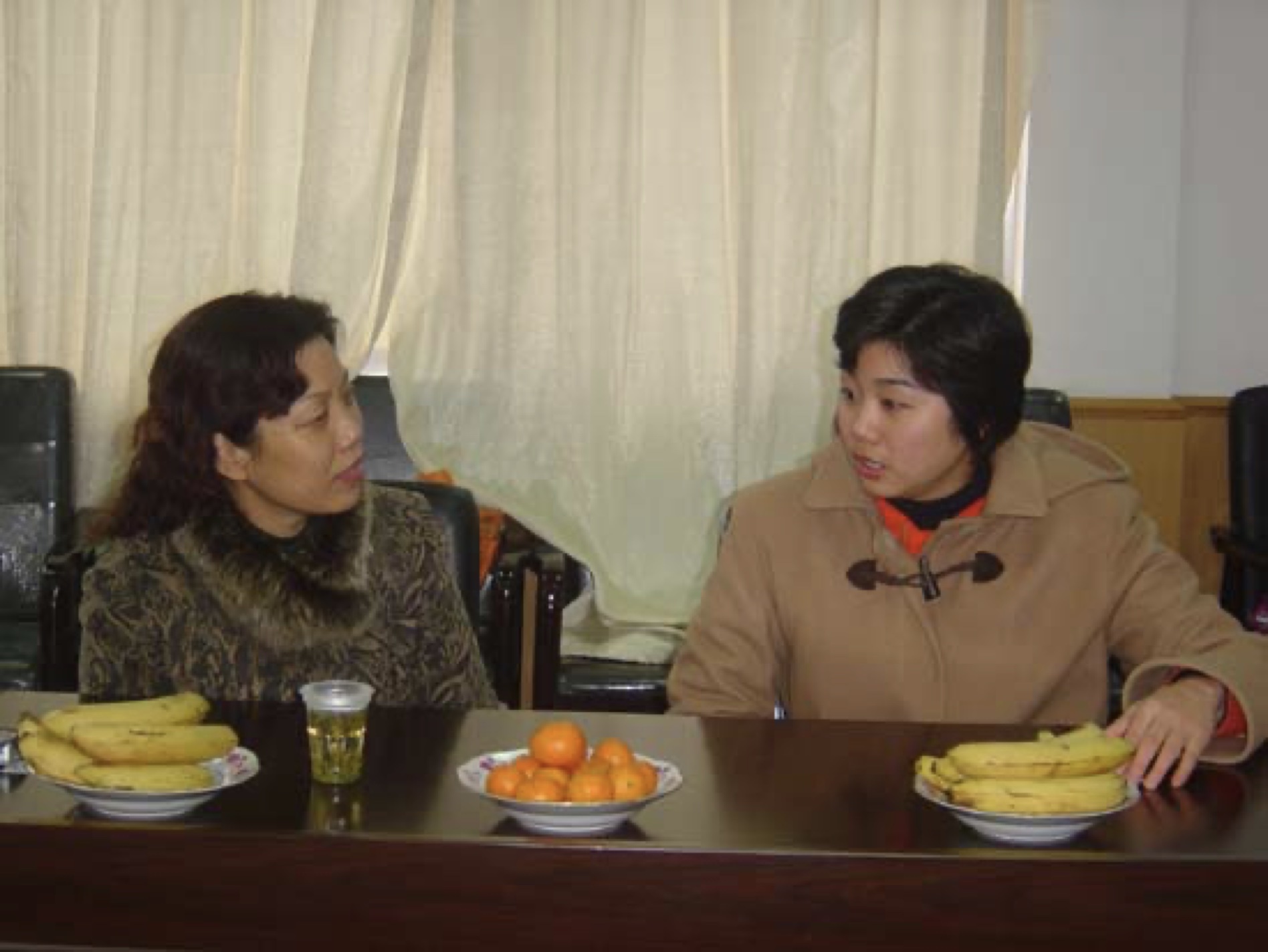 홈 카지노