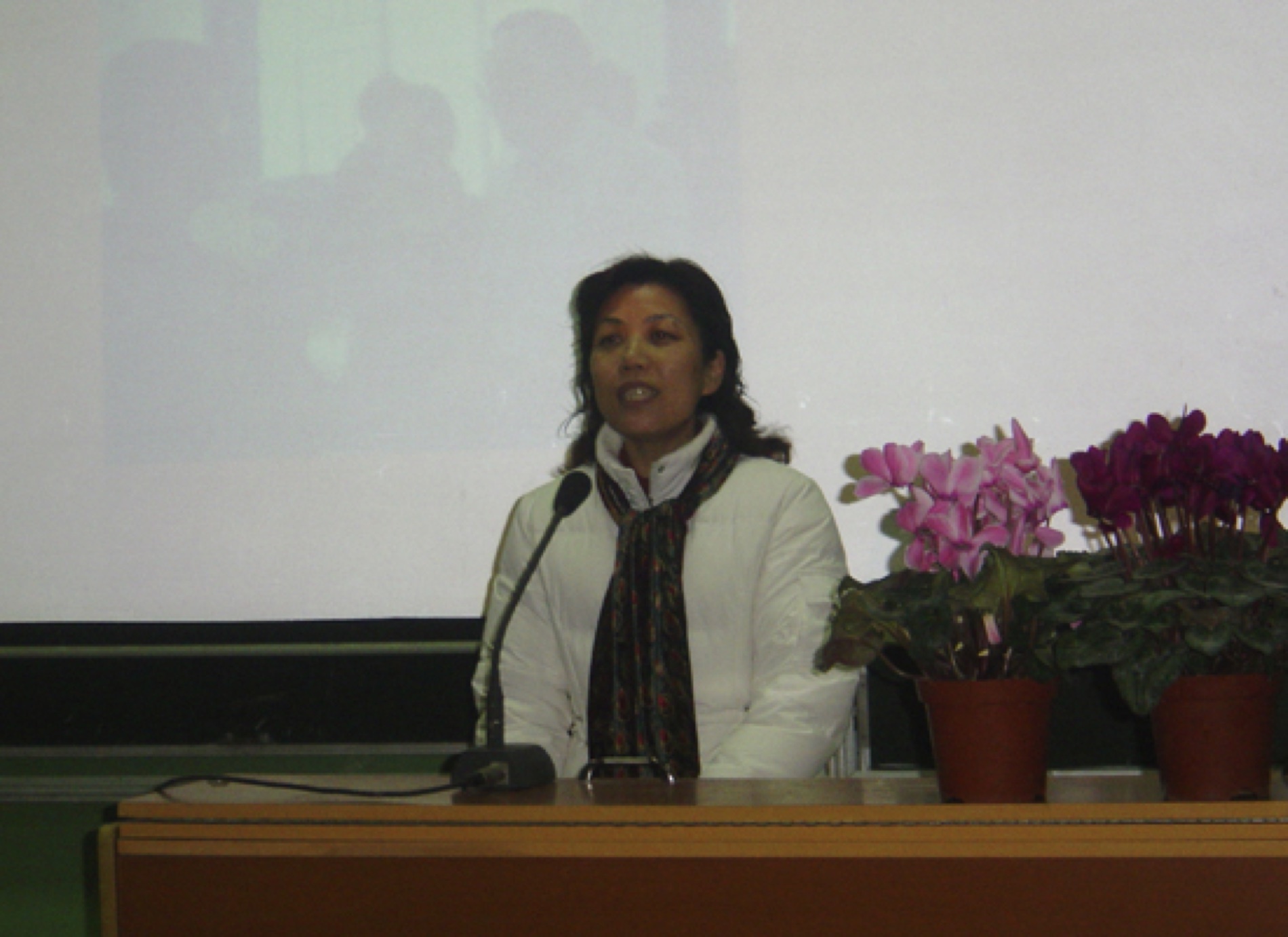 스포츠 사이트