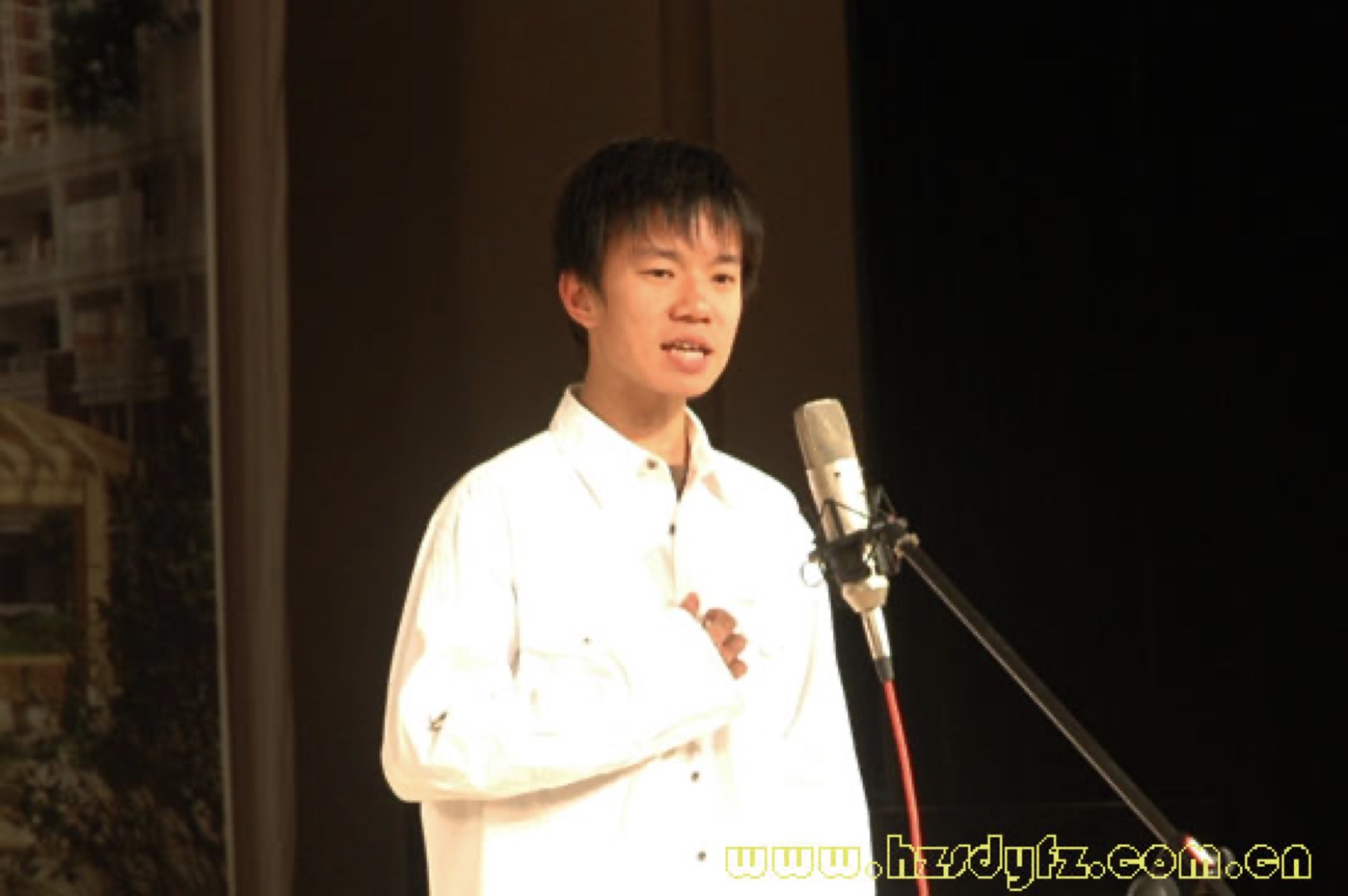카지노 사이트