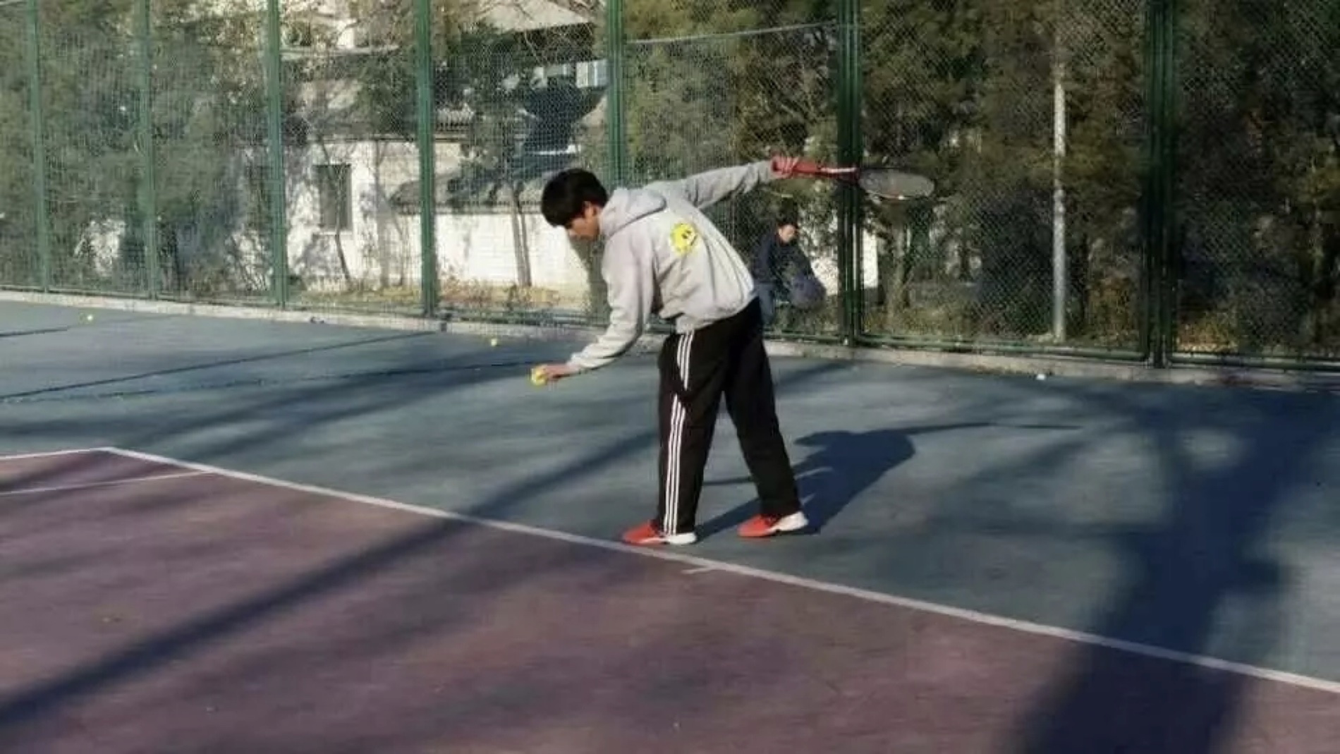 스포츠 토토 배당
