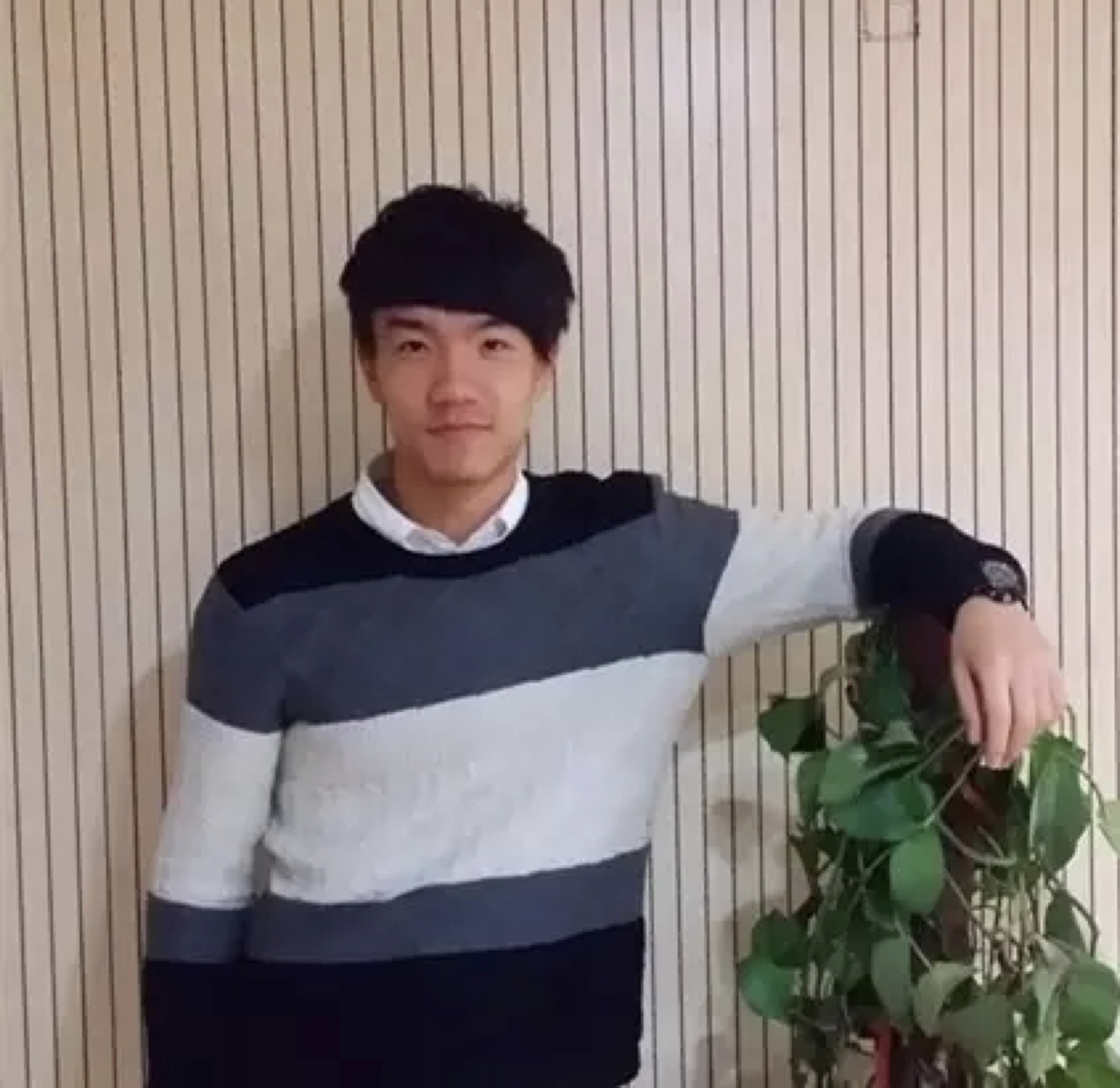 스포츠 토토 배당