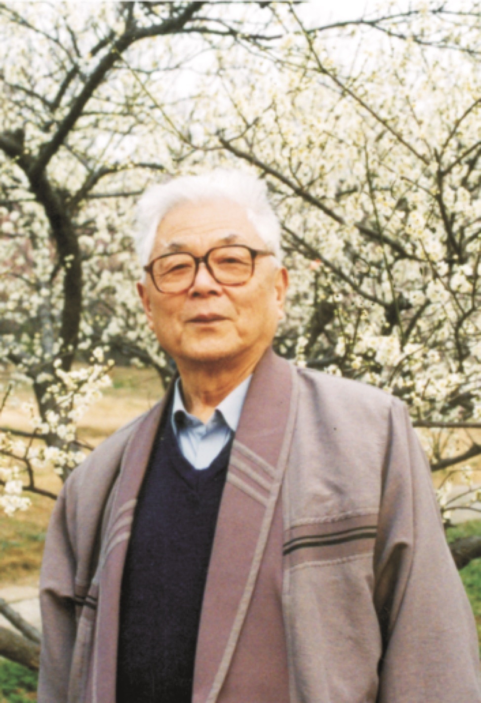 홈 카지노