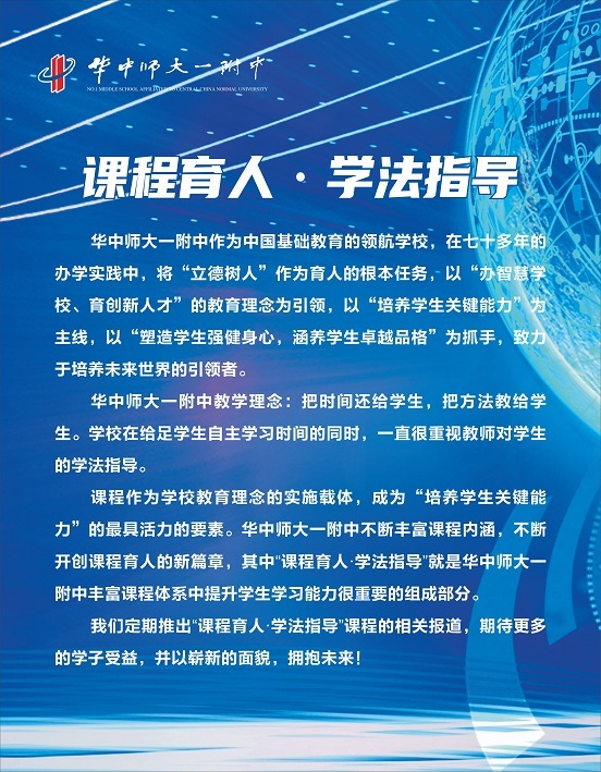 무료 스포츠 분석 사이트