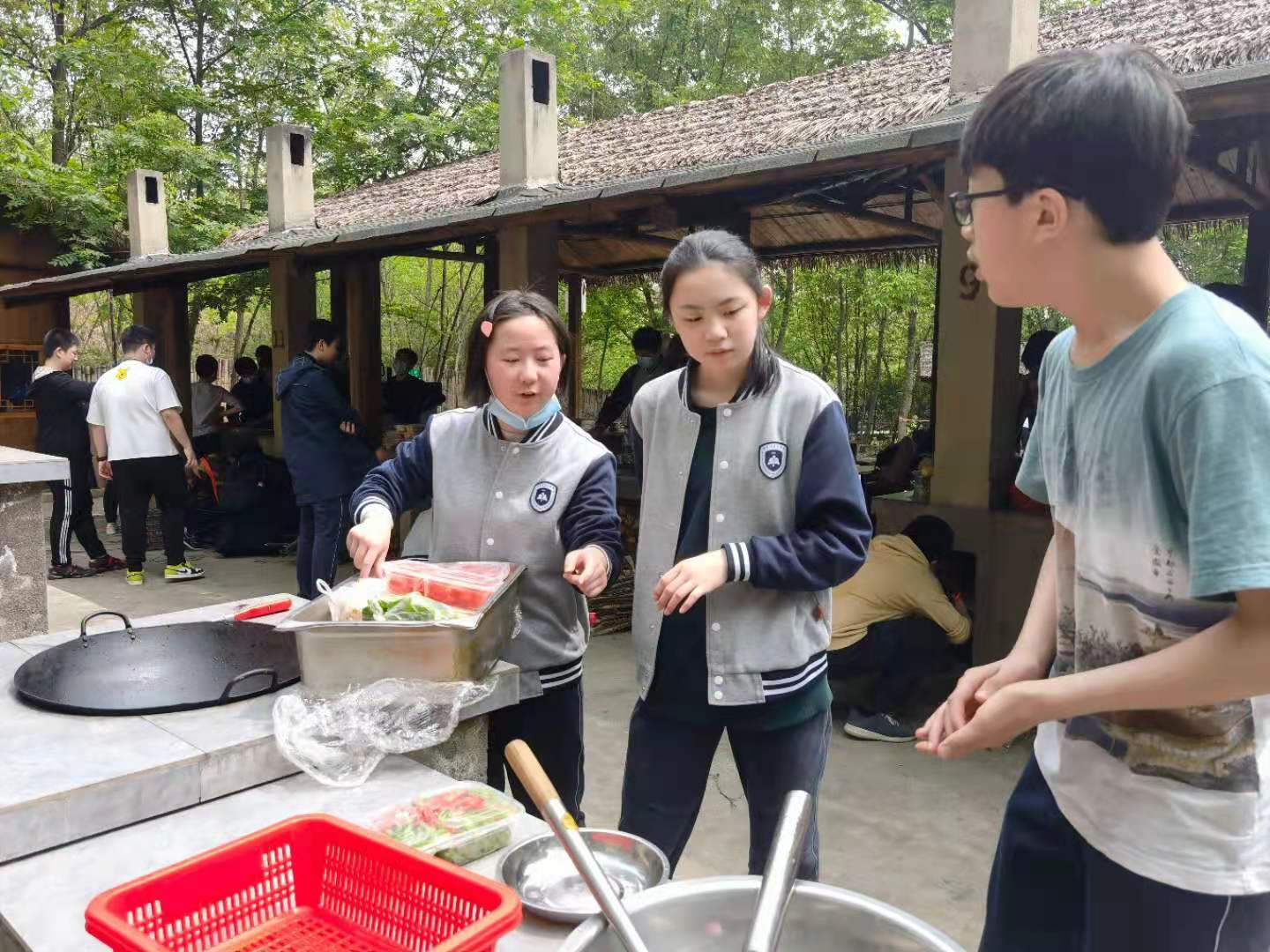 무료 스포츠 분석 사이트
