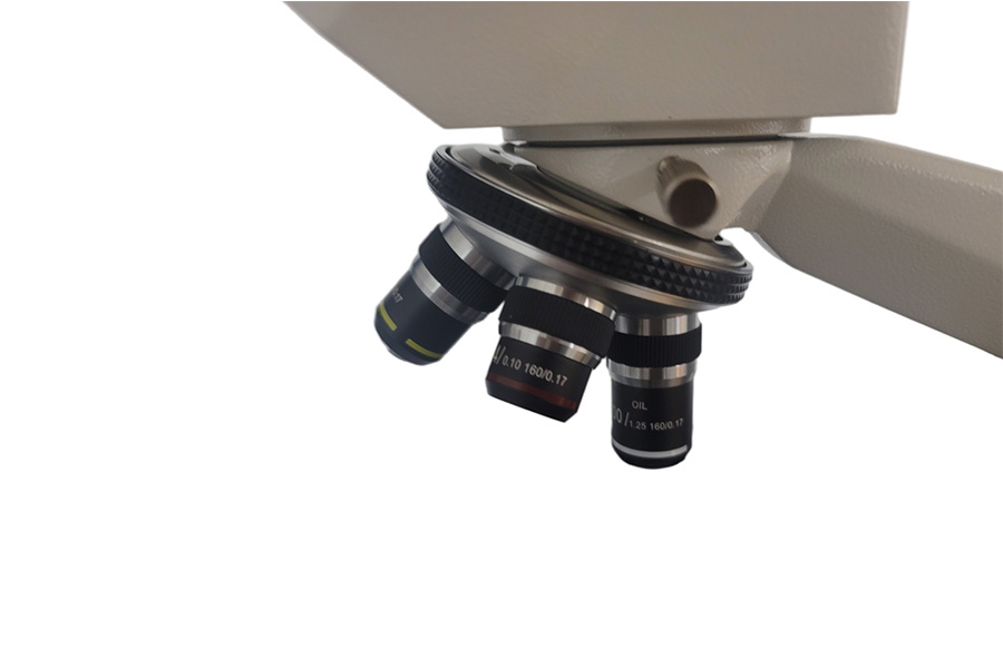 MSS-D8T02.jpg
