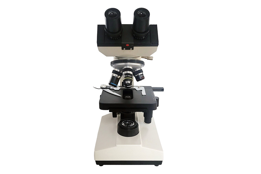MSS-D8T04.jpg