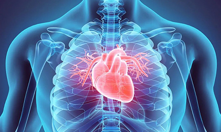 More than 400 million people in the country suffer from cardiovascular disease, with the tendency of aging will be able to...