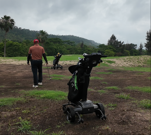 G5 Golf Electric Trolley