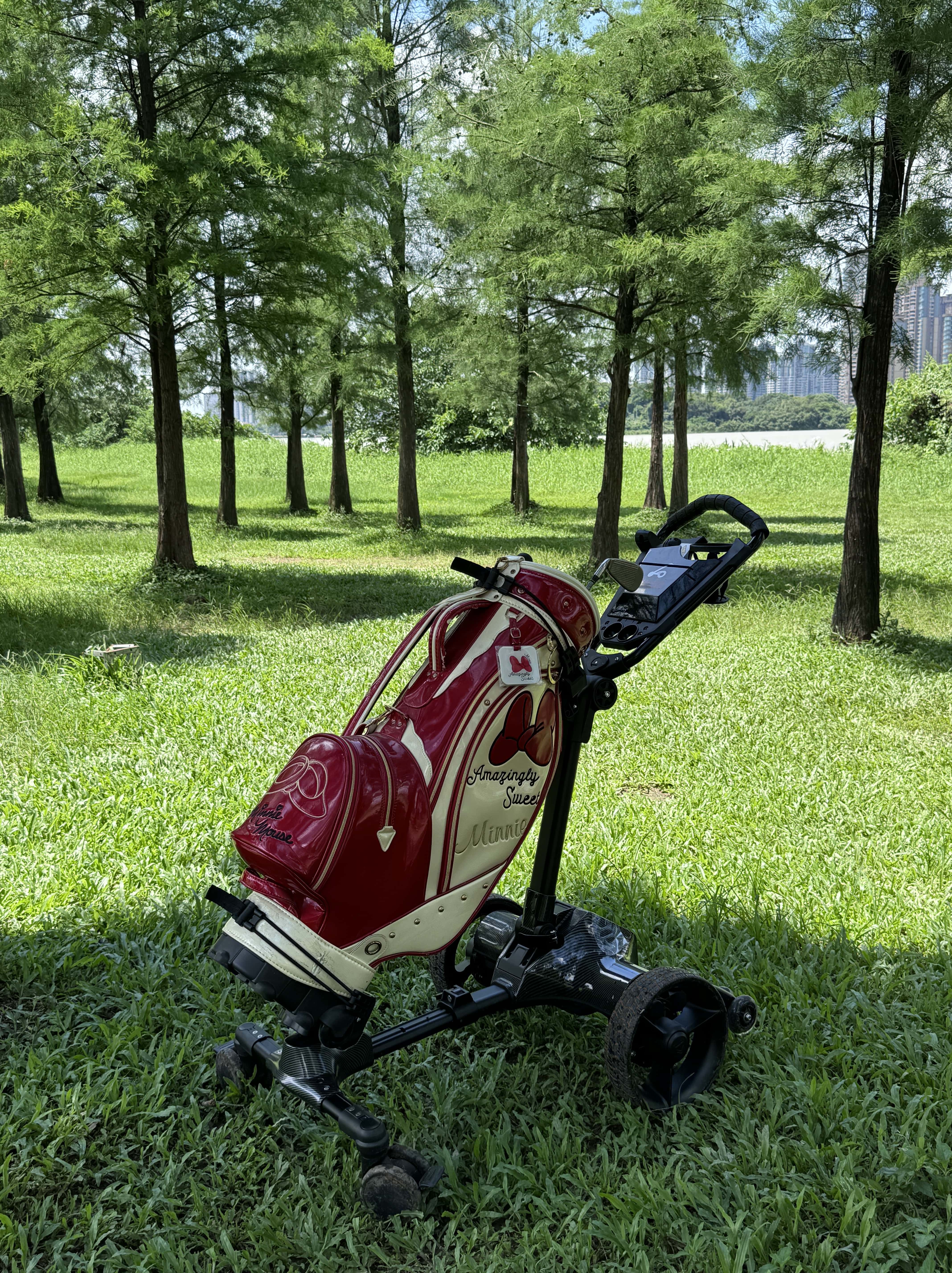 G5 Golf Electric Trolley
