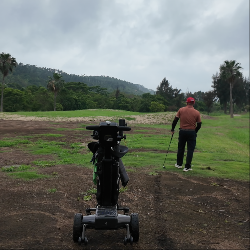 golf trolley