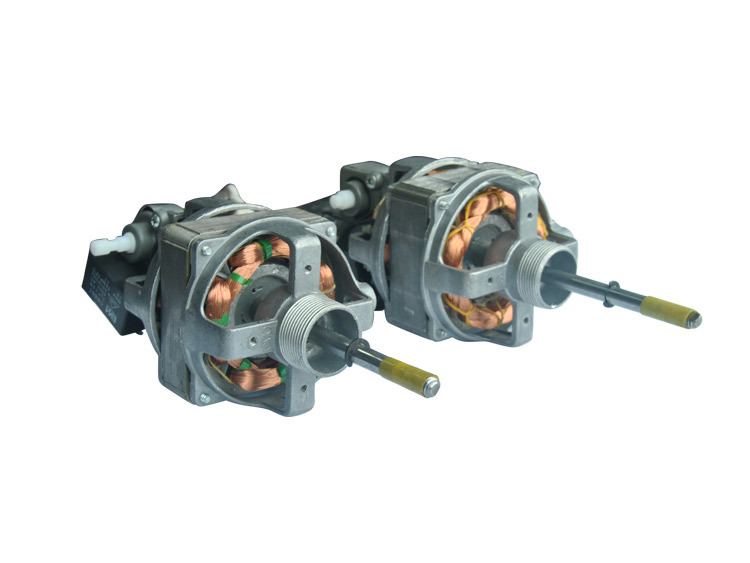 Electric motor for blender