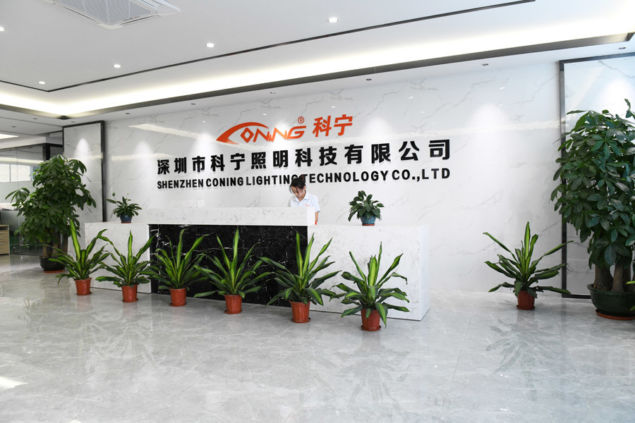 公司环境