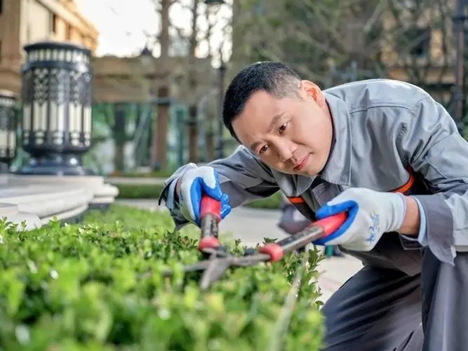 物業(yè)能給我們帶來哪些服務(wù)！