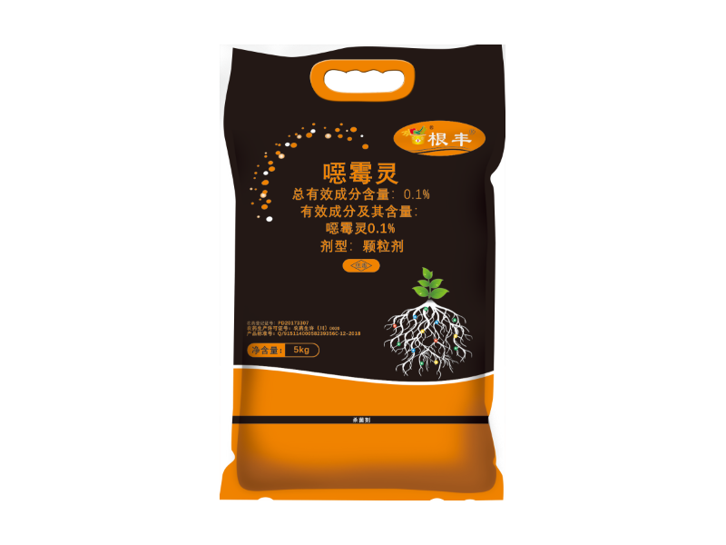 根豐