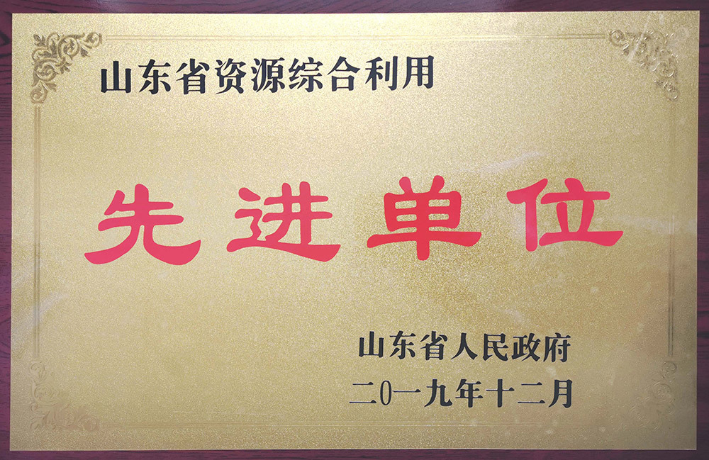 2019年山東省資源利用先進(jìn)單位