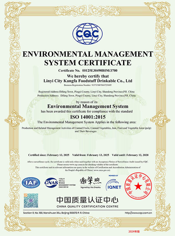 Environmental Management System Certification Certificate