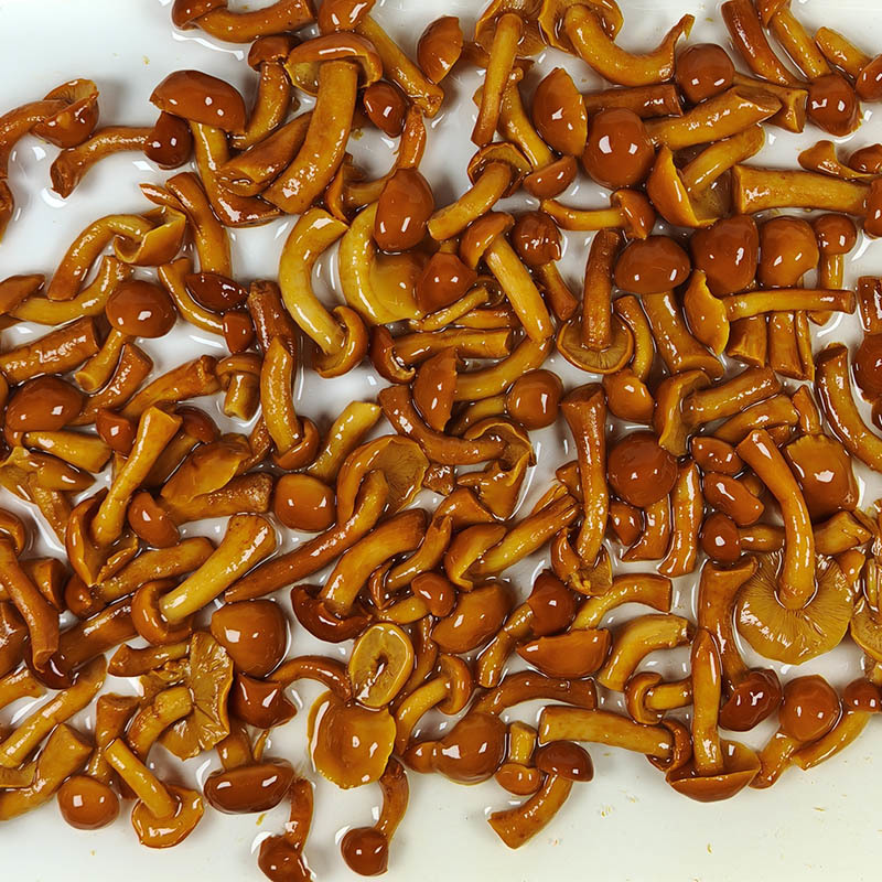 Canned shiitake mushrooms