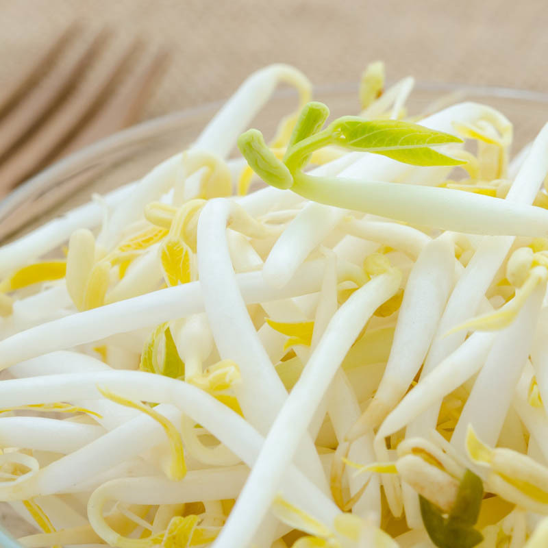 Canned mung bean sprouts