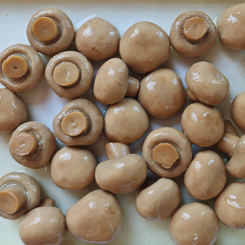 Canned Agaricus bisporus