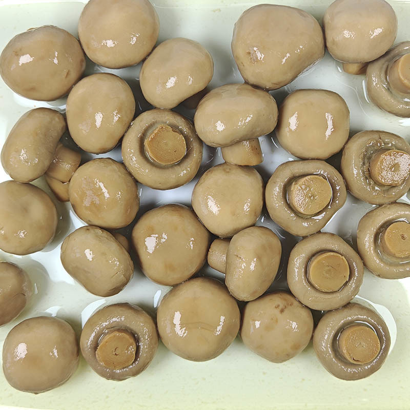 Canned Agaricus bisporus