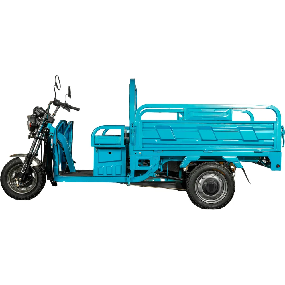 LS-ET12,Electric Three-Wheel Delivery Truck