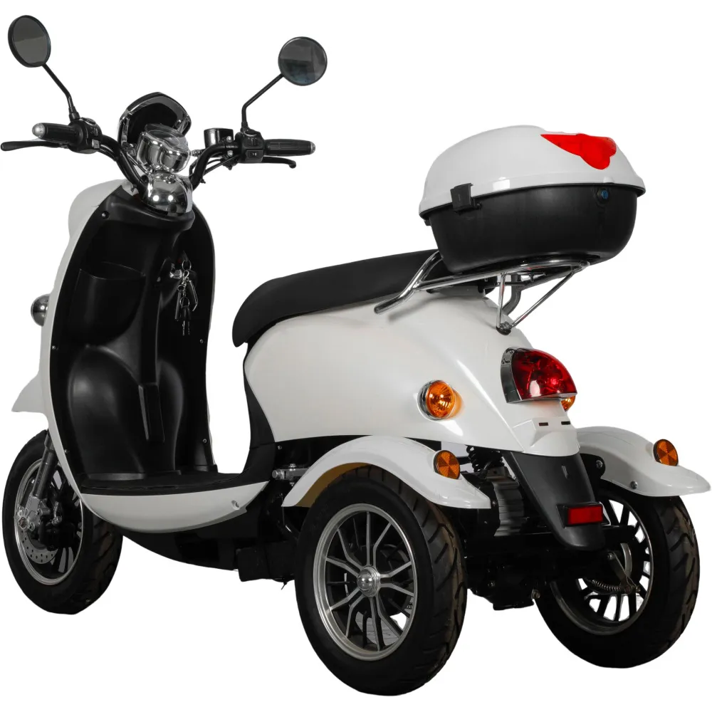 LS-ET03, motorized trike