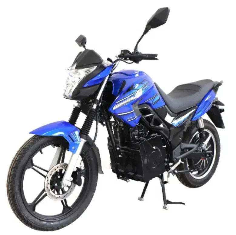 LS-FY, adult electric motorcycle