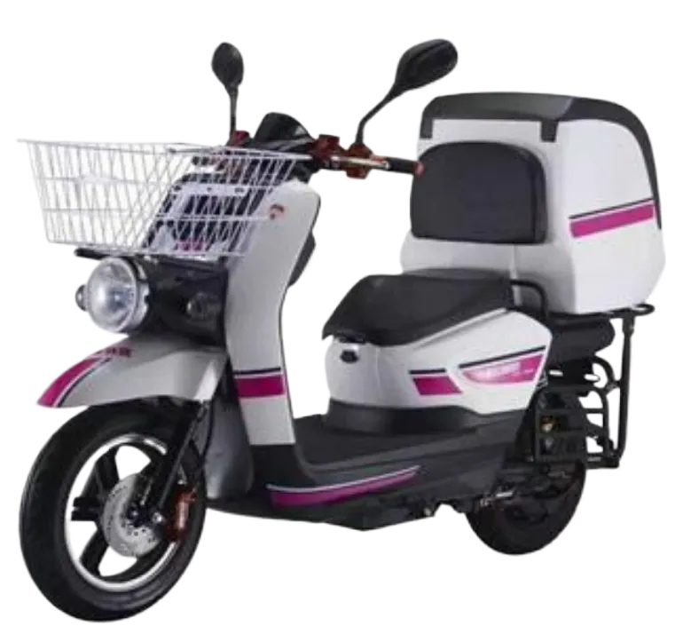 Electric Delivery Scooter
