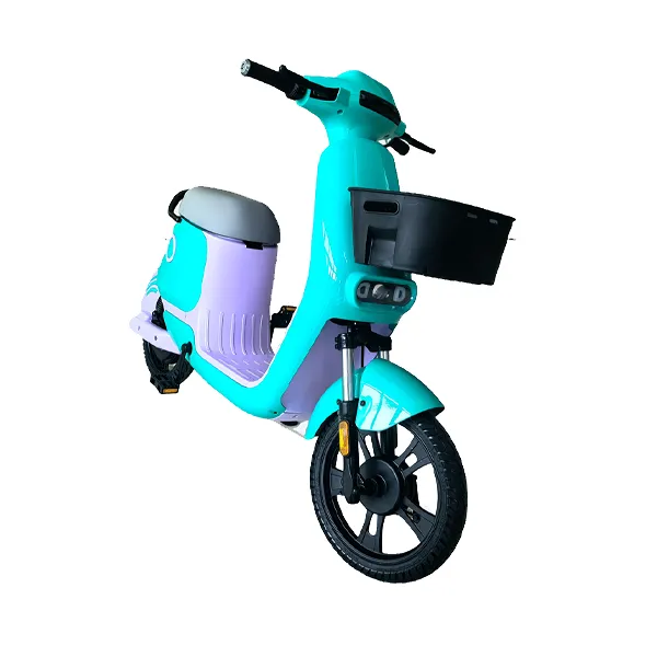 TDR756Z--Shared Electric Scooter Bike