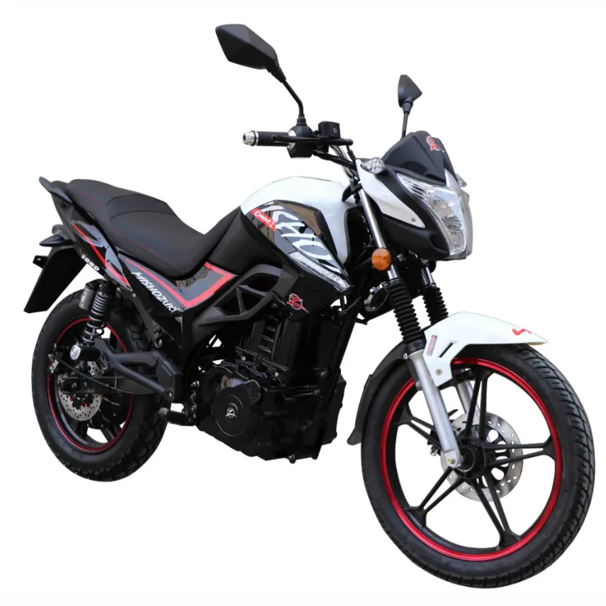 LS-FY, adult electric motorcycle