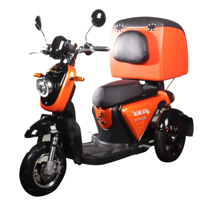 Electric Trike