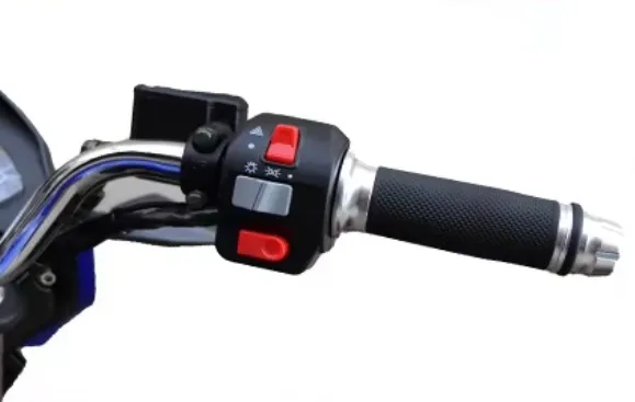 LS-FY, adult electric motorcycle